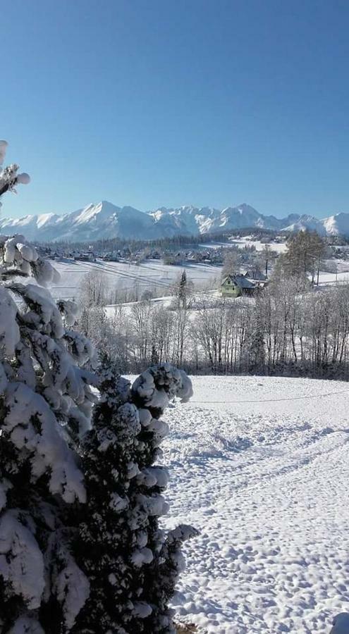 Agrotatry U Stachy Villa Bukowina Tatrzańska Kültér fotó