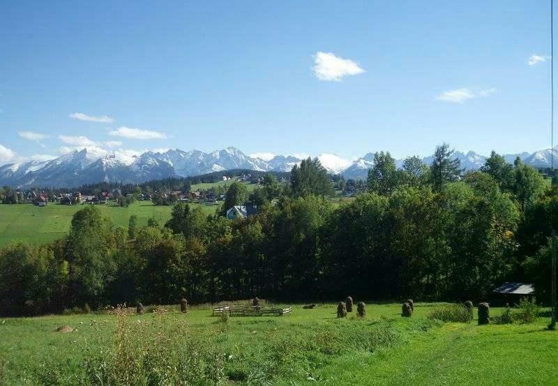 Agrotatry U Stachy Villa Bukowina Tatrzańska Kültér fotó