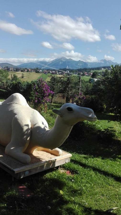 Agrotatry U Stachy Villa Bukowina Tatrzańska Kültér fotó