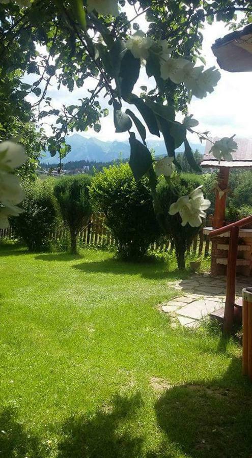 Agrotatry U Stachy Villa Bukowina Tatrzańska Kültér fotó