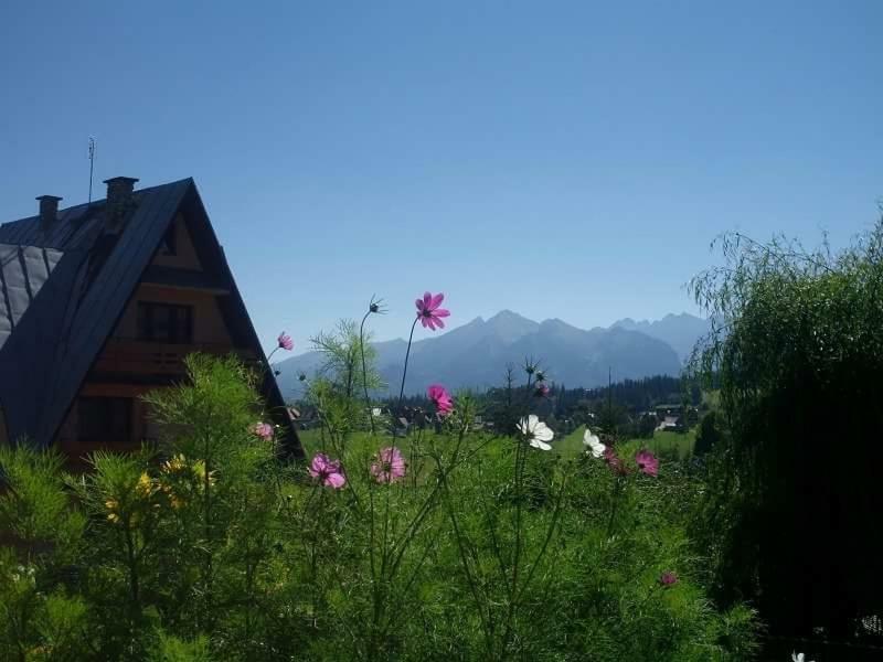 Agrotatry U Stachy Villa Bukowina Tatrzańska Kültér fotó