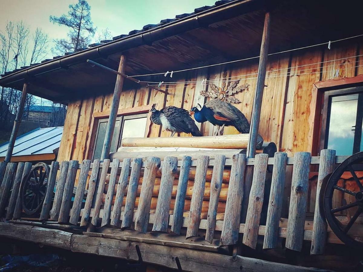 Agrotatry U Stachy Villa Bukowina Tatrzańska Kültér fotó